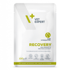 Vet Expert Recovery Cat 100g (Wet) - 3s
